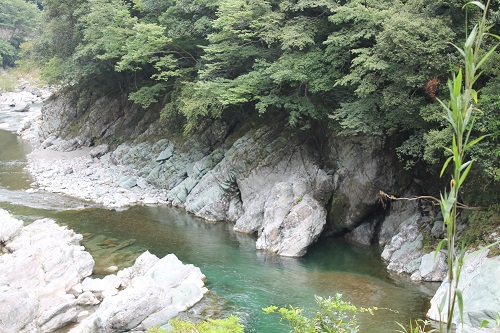 神山の川